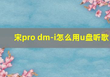 宋pro dm-i怎么用u盘听歌